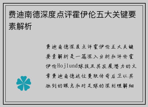 费迪南德深度点评霍伊伦五大关键要素解析 费迪南德深度点评霍伊伦五大关键要素解析